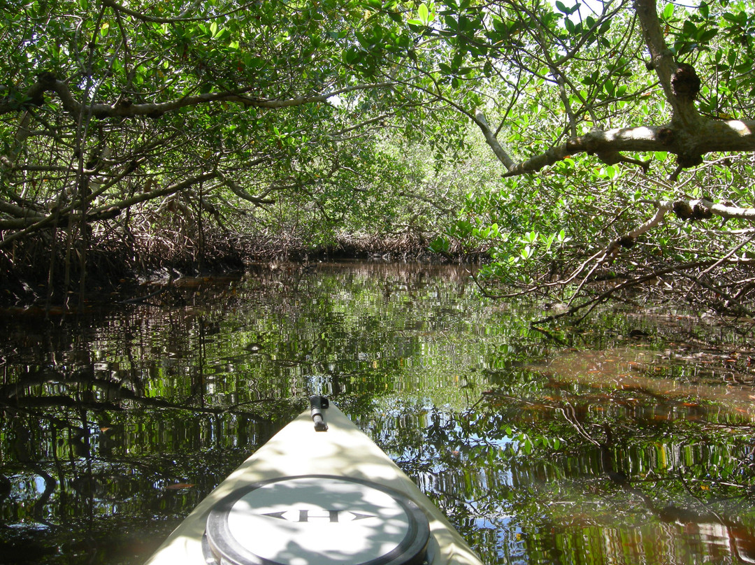 Port Sanibel Marina-迈尔斯堡必去景点