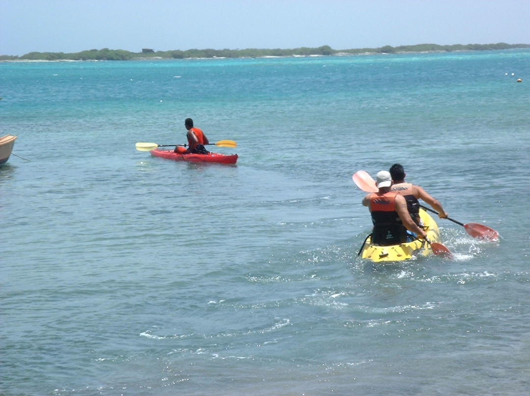 Aruba Kayak Adventure-Pos Chiquito必去景点