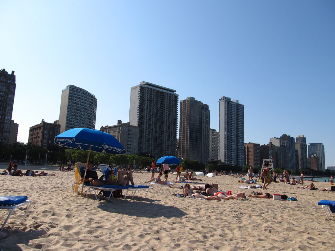 橡树街海滩-芝加哥必去景点