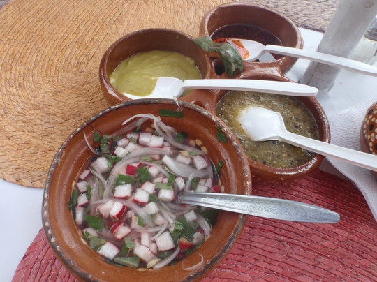 Eat Mexico Culinary Tours-墨西哥城必去景点