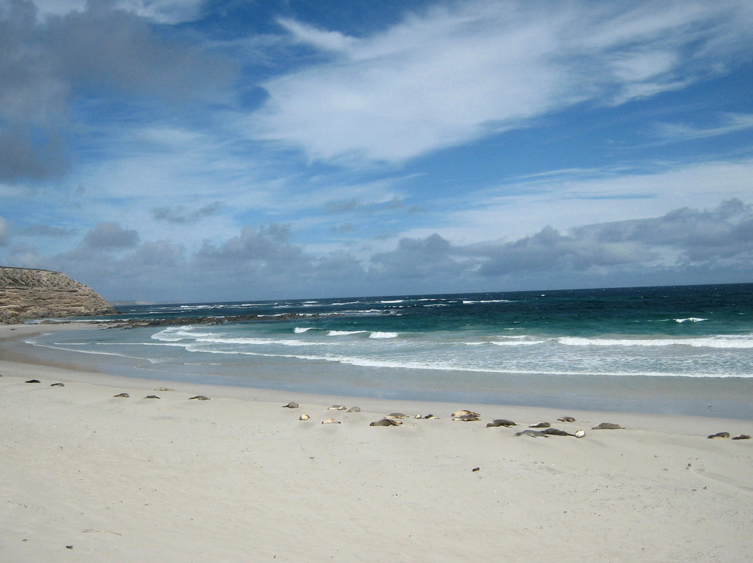 Exceptional Kangaroo Island景点图片