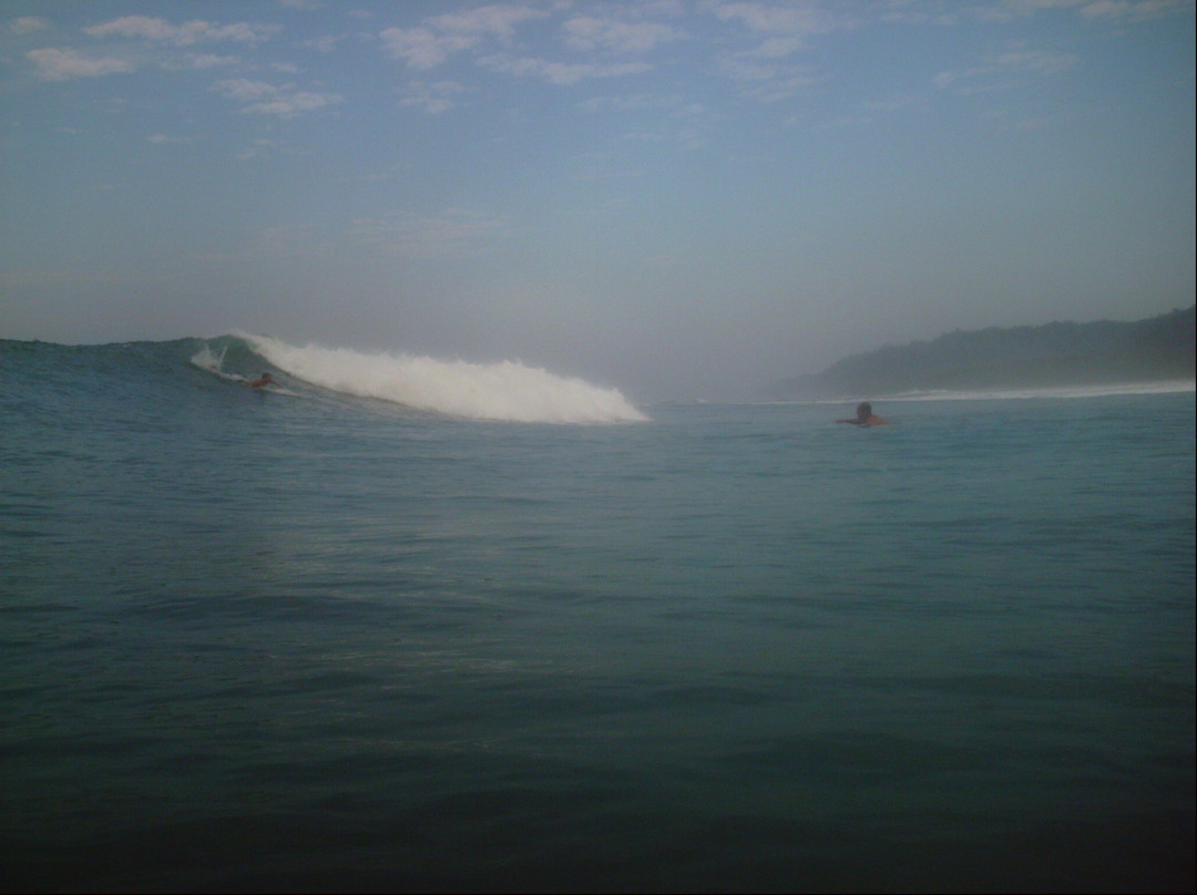 TropicOlas Surf School景点图片