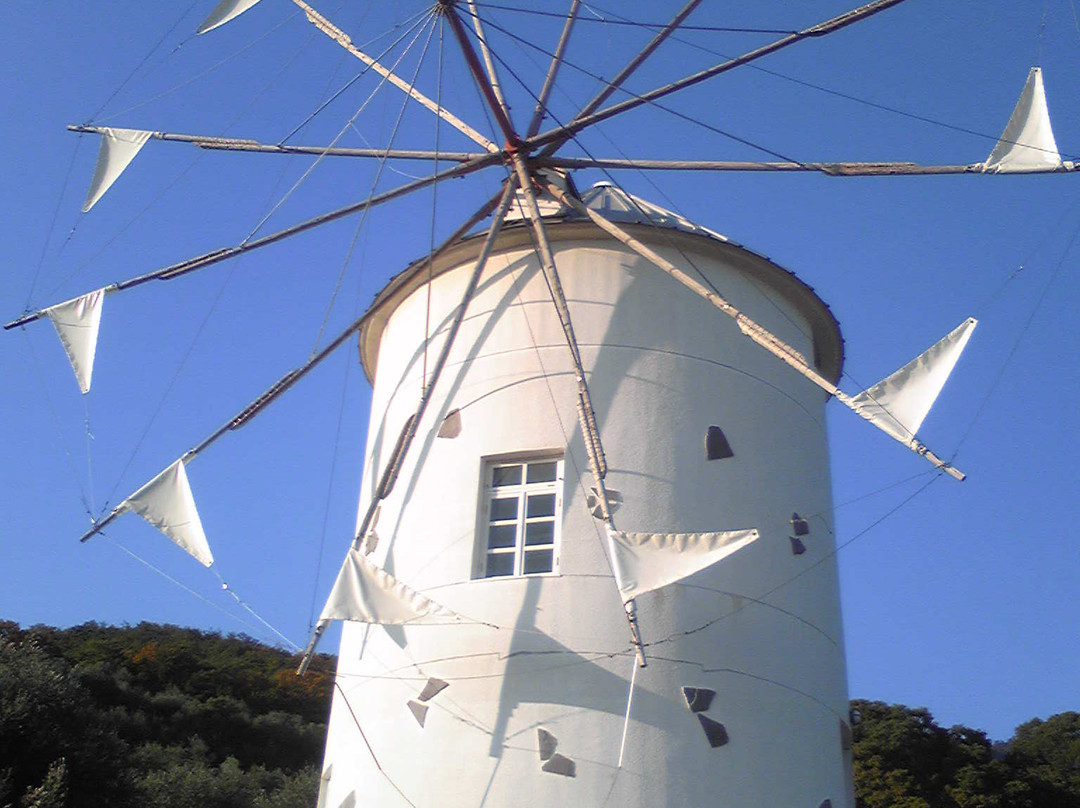 Michi-no-Eki Shodoshima Olive Park景点图片