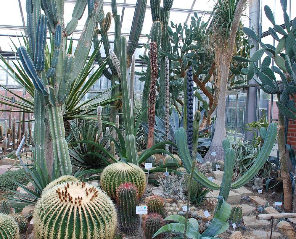 Botanic Gardens Kiel-基尔必去景点