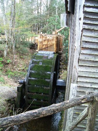 Cades Cove-大雾山国家公园必去景点