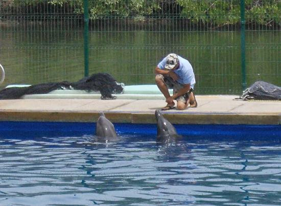 Vallarta Adventures-新瓦雅塔必去景点