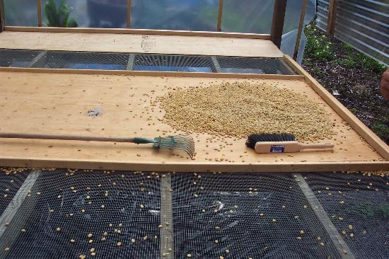 庇佑之所家庭式酒店主图