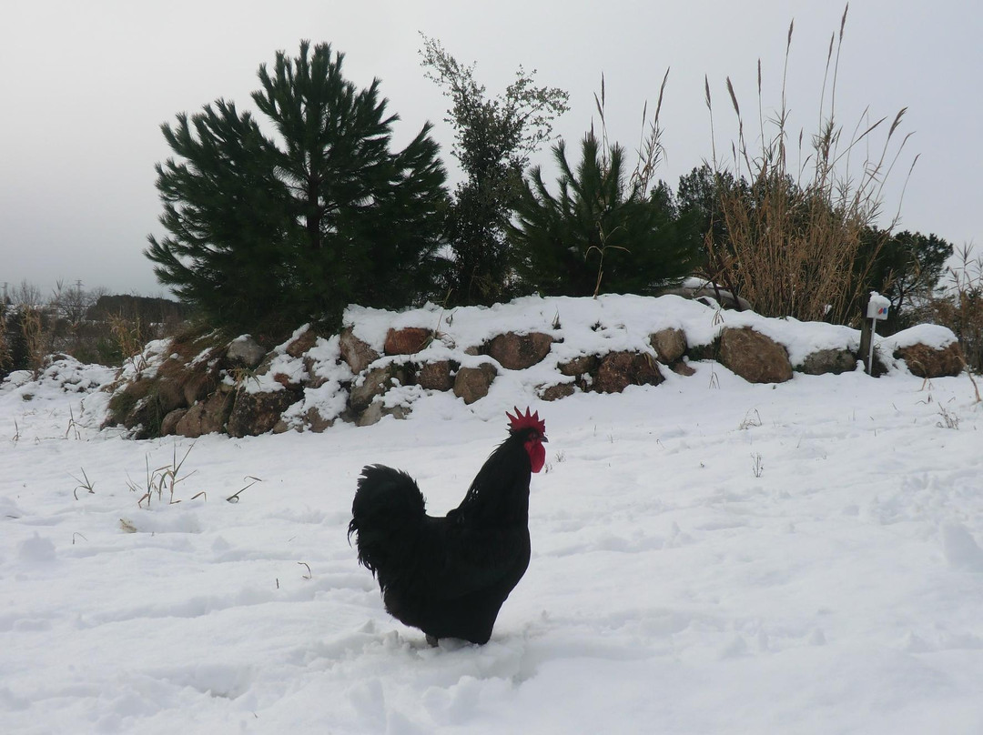 Cava Guilera-Lavern必去景点