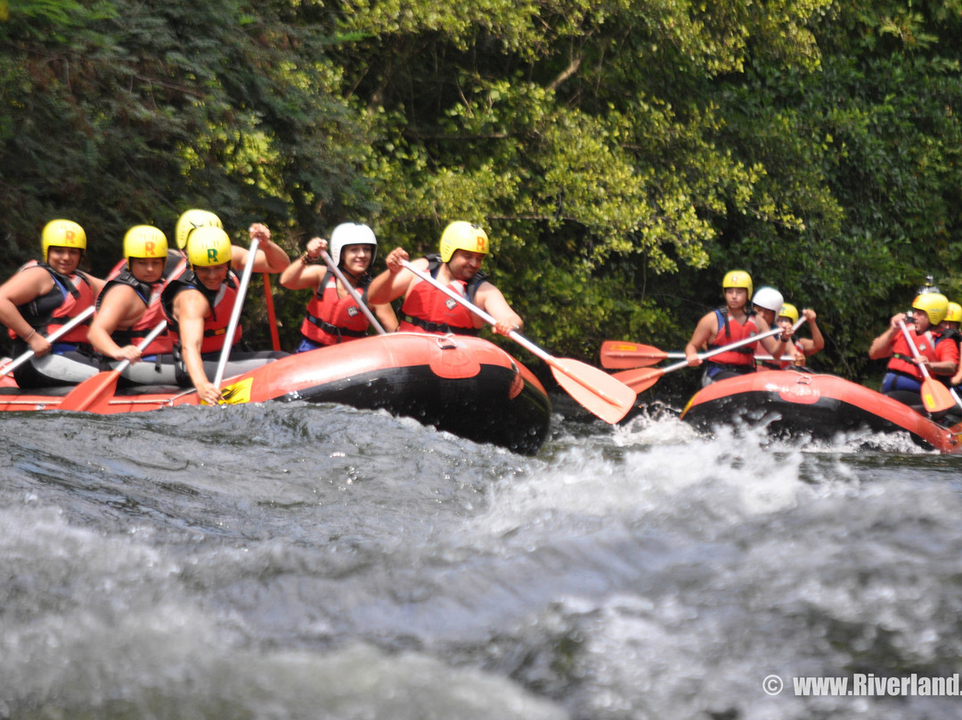 Riverland-Toxotes必去景点