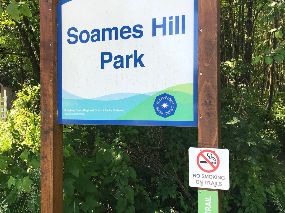 Soames Hill (aka Knob Hill)-吉布森斯必去景点