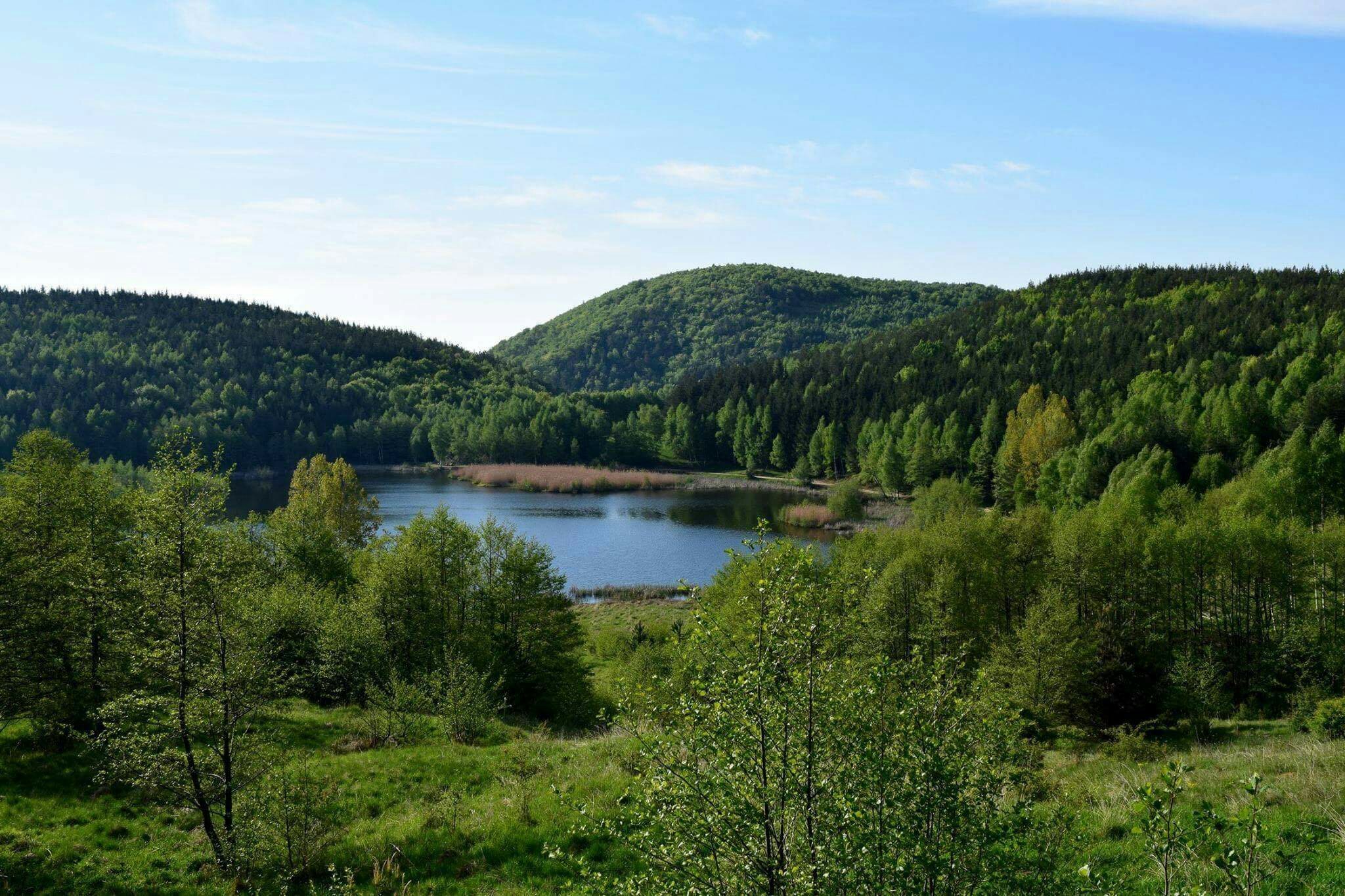 Pensiunea Agroturistica Lacul Mocearu-官方