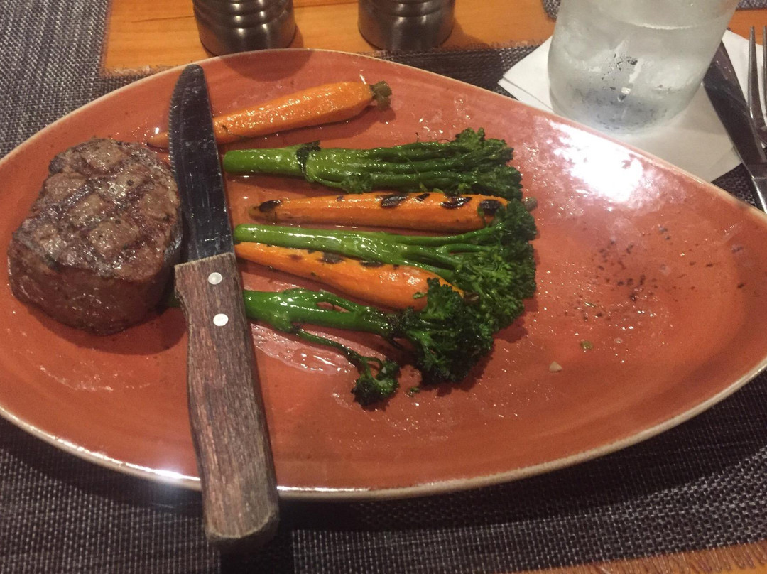 Lodge Wood Fired Grill