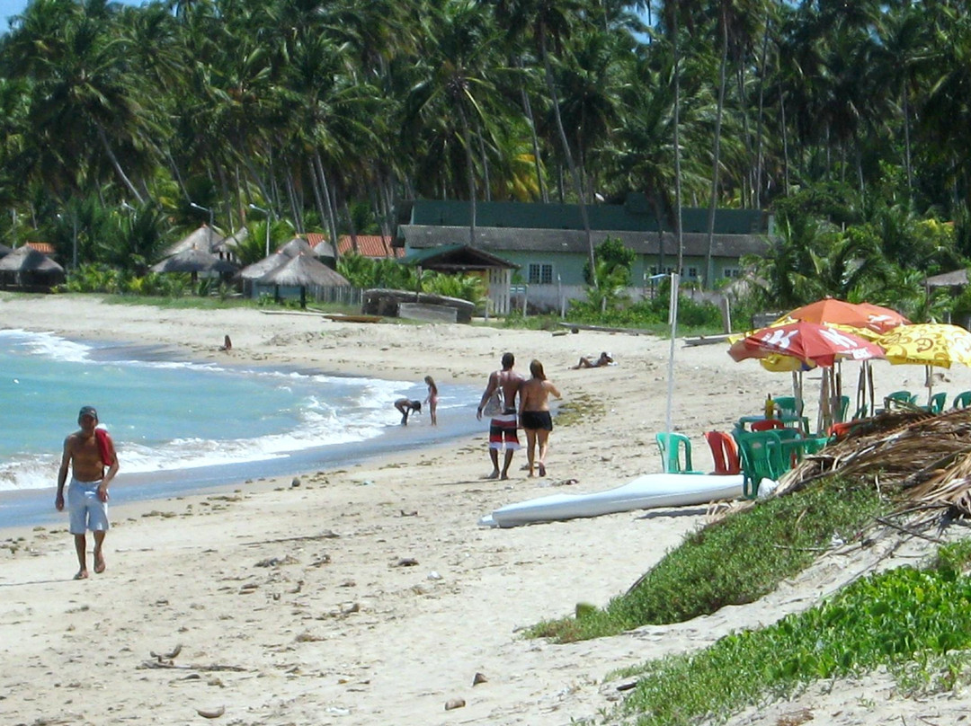 Peroba Beach-Maragogi必去景点