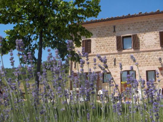 Casa Nostra Country House-客卧