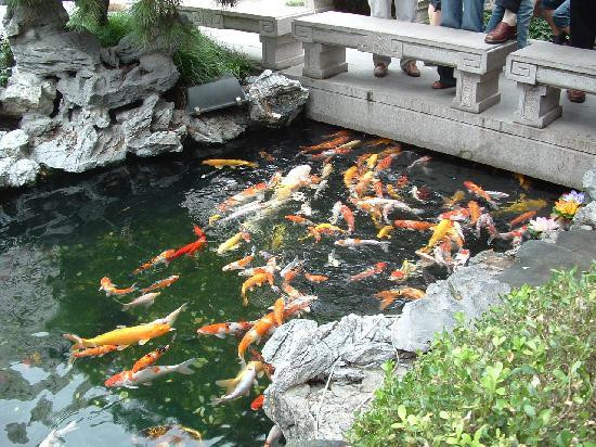 玉佛禅寺-上海市必去景点