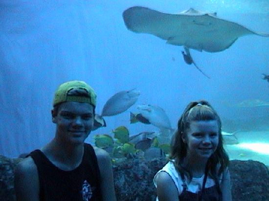 茂宜海洋中心-怀露库必去景点