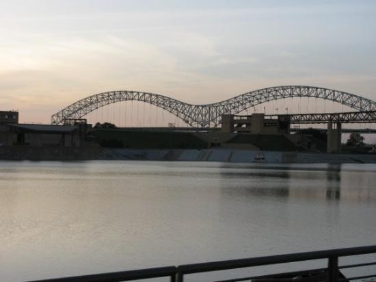 The Peabody Ducks-孟菲斯必去景点