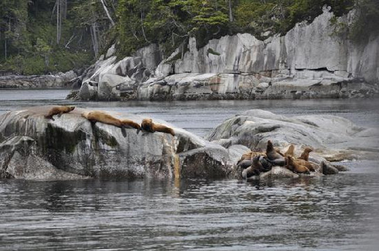 Jamie's Whaling Station & Adventure Centres-托菲诺必去景点