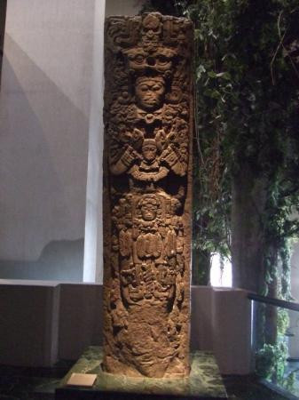 Museo de la Cultura Maya-尤卡坦半岛必去景点