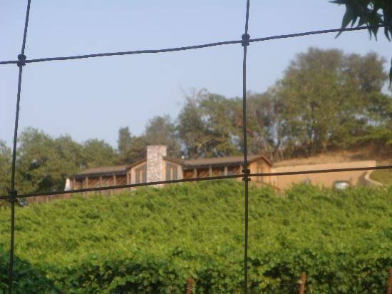 Lambert Bridge Winery景点图片