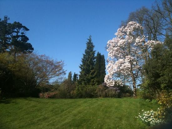 Borde Hill Garden-Haywards Heath必去景点