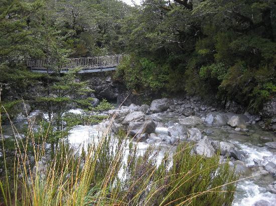 Arthur's Pass Hiking & Tranz Alpine One Day Tour景点图片