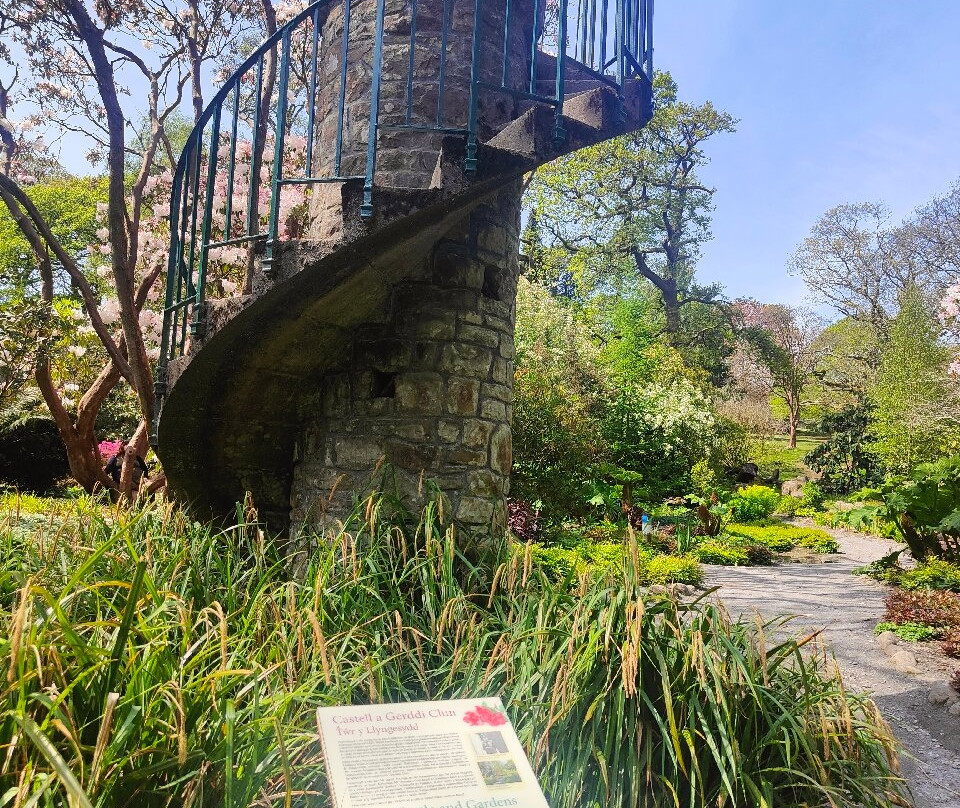 Clyne Gardens景点图片