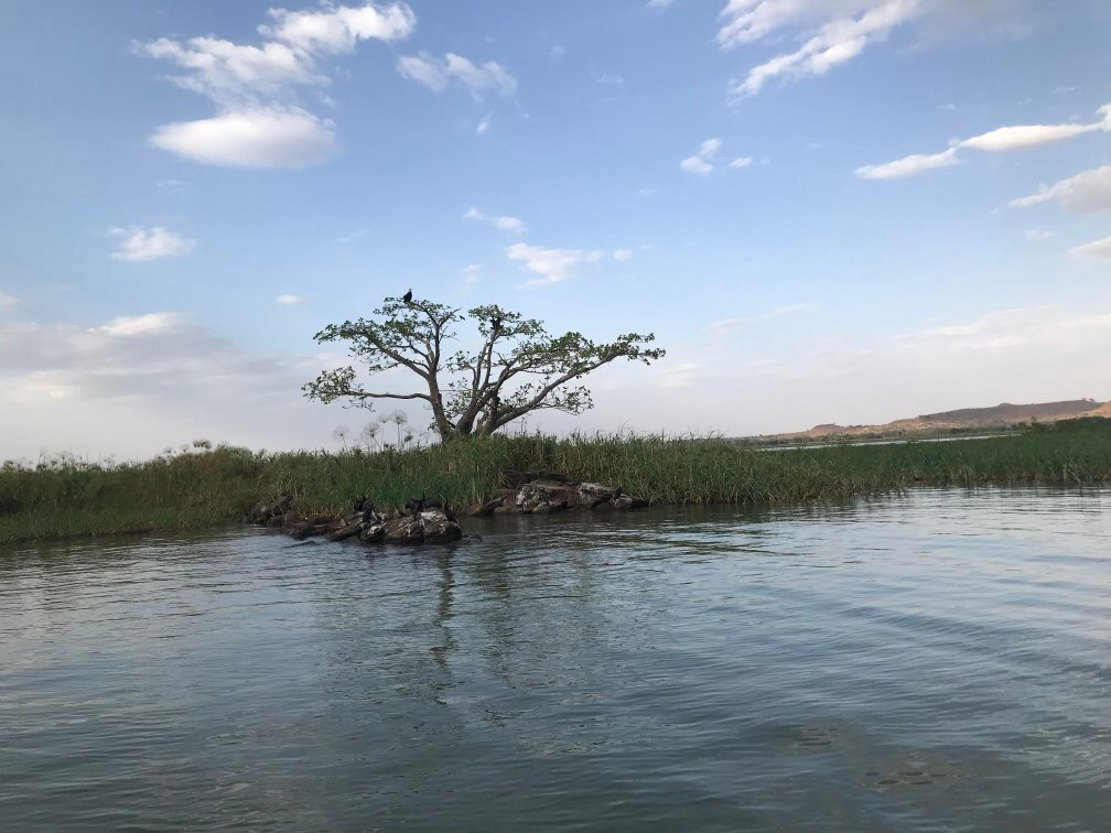 Awra Amba Tours-巴哈尔达尔必去景点