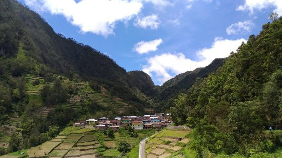 Ngadiloyo Waterfall景点图片