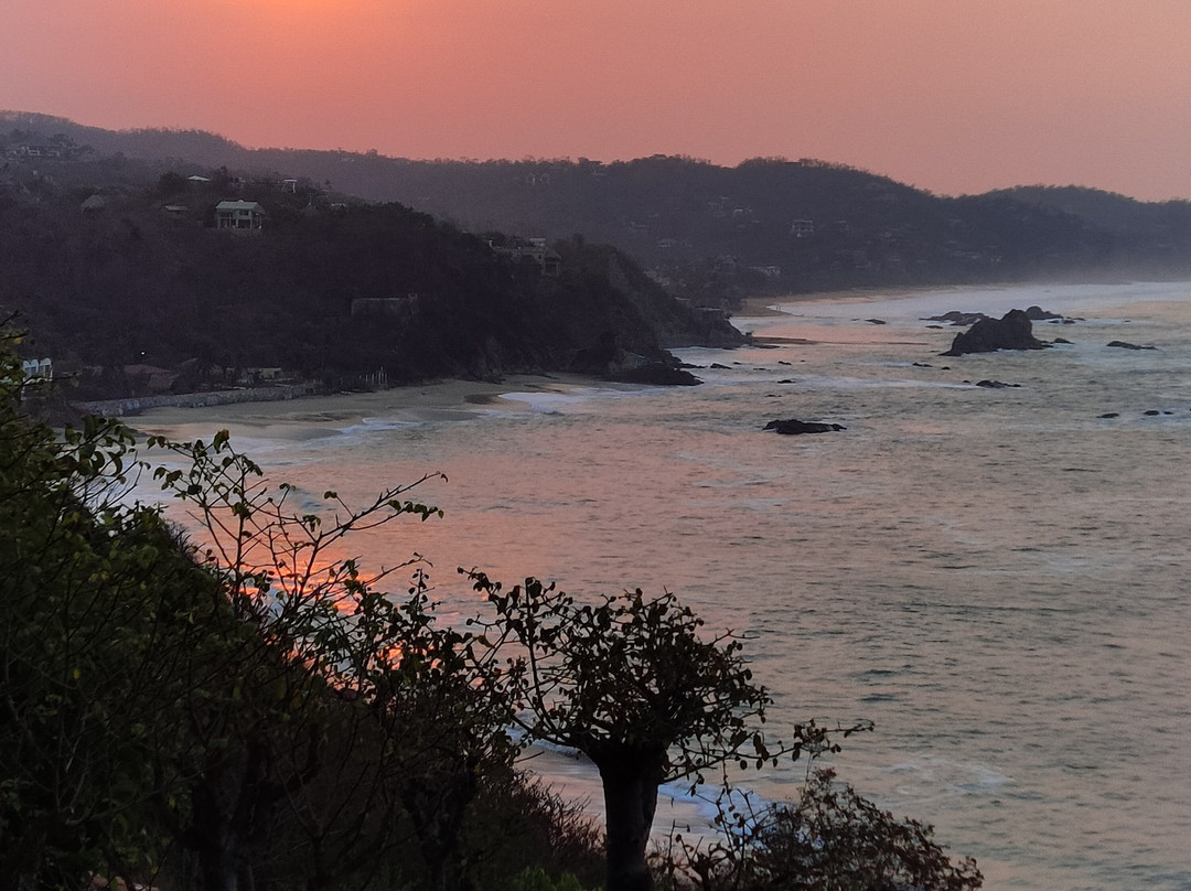 Altamira Mazunte主图