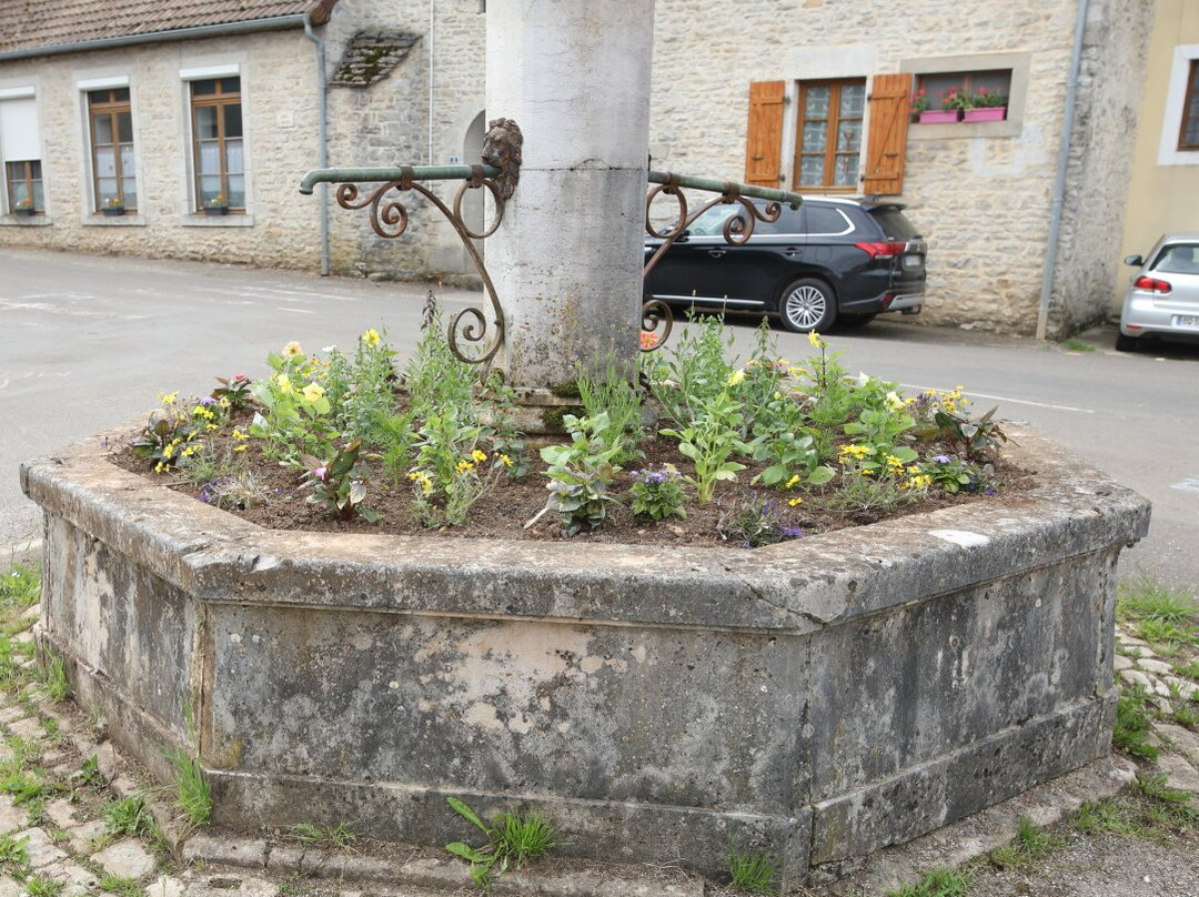 Fontaine, rte de Miribel, à La Marre