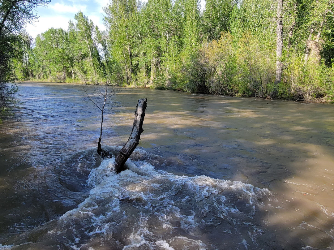 Draper Wood River Preserve景点图片