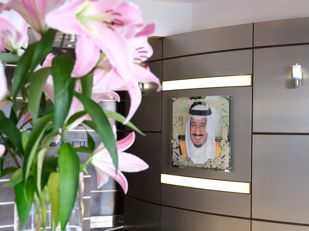 Boudl Al Salmia主图