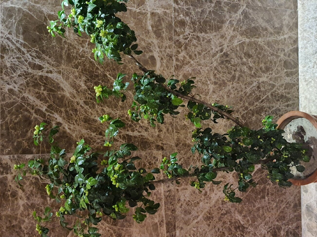 Golden Tulip - The GrandMark Dhaka