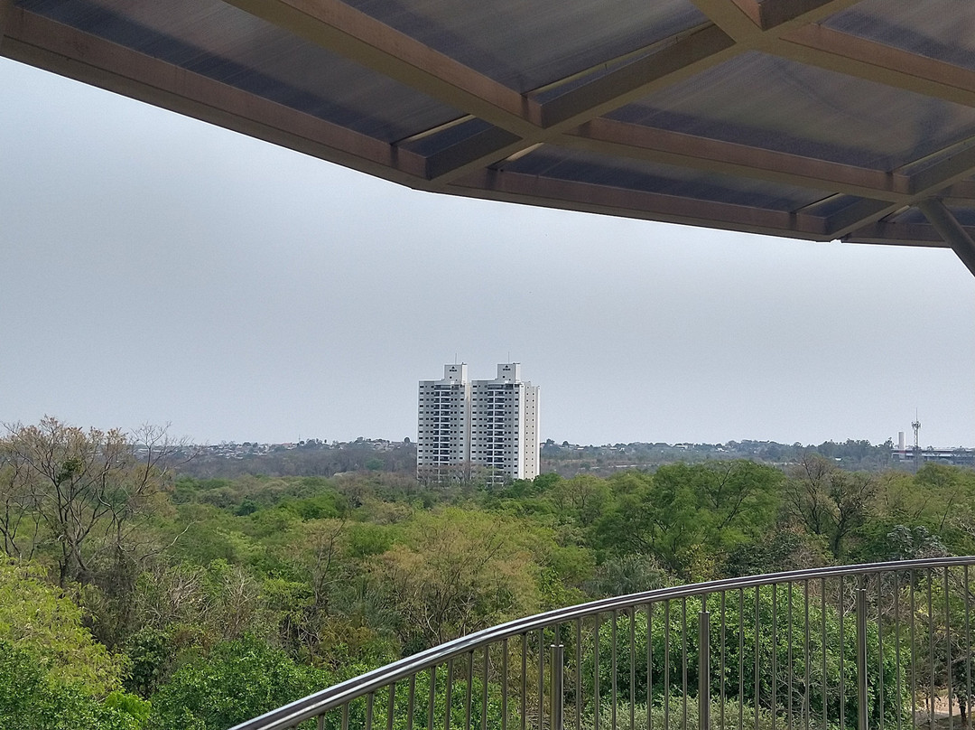 Parque Mãe Bonifácia景点图片