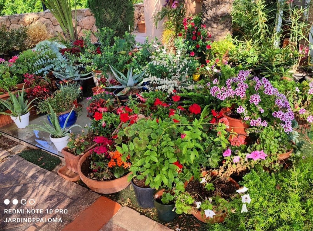 Cortijo de la Media Luna主图