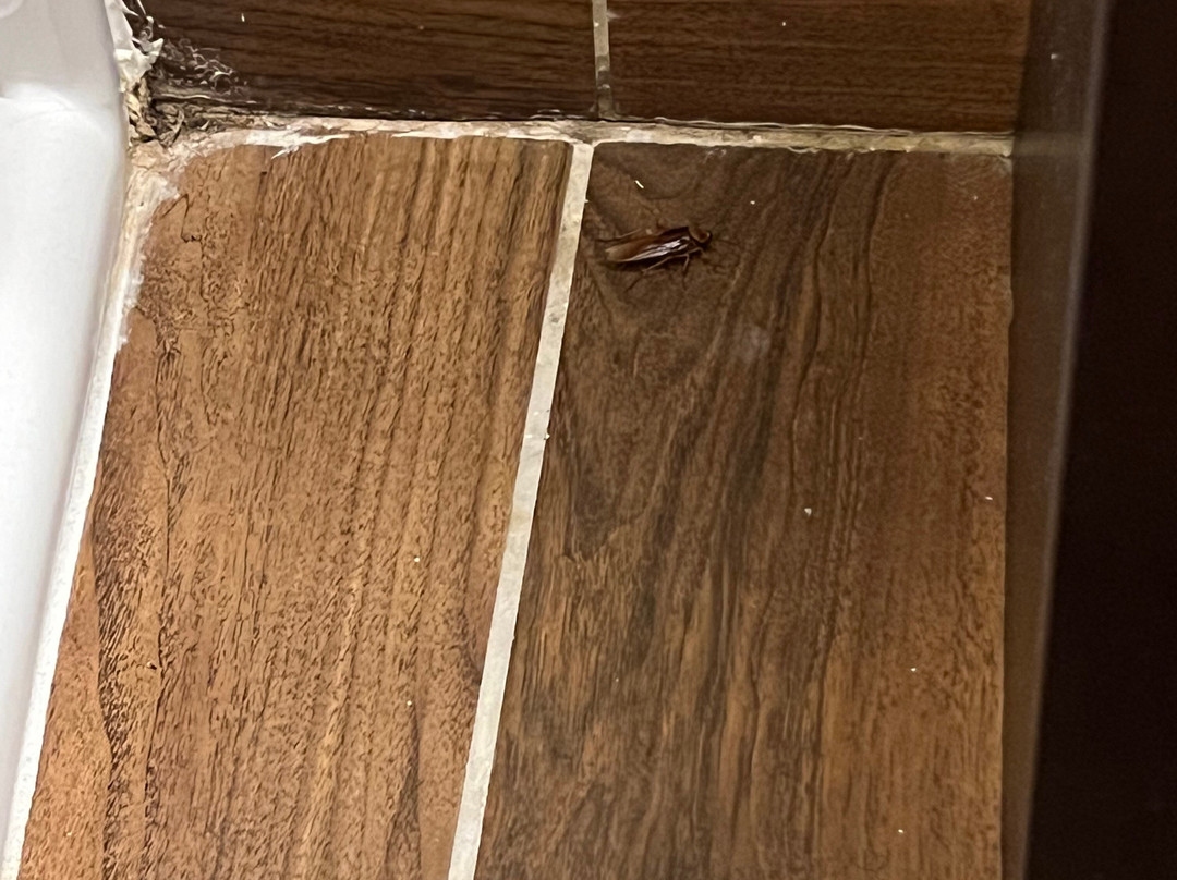 Historic Whispering Woods Hotel & Conference Center主图