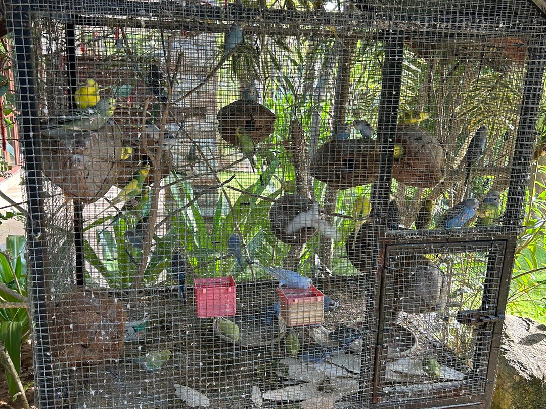 Dream Garden Resort主图