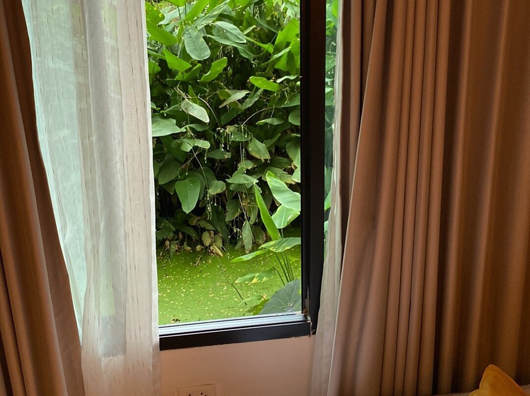 Green@Buriram主图