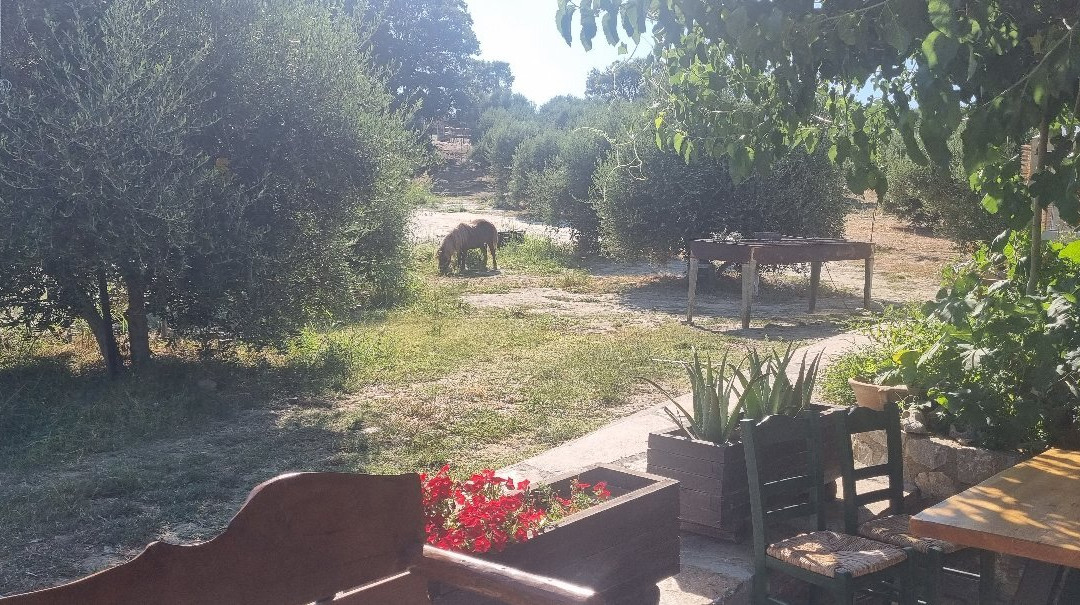 Cretan Aroma-Agkouseliana必去景点