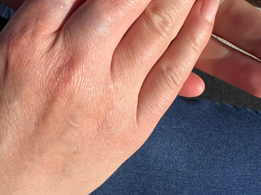 Willow Fork Park-卡蒂必去景点