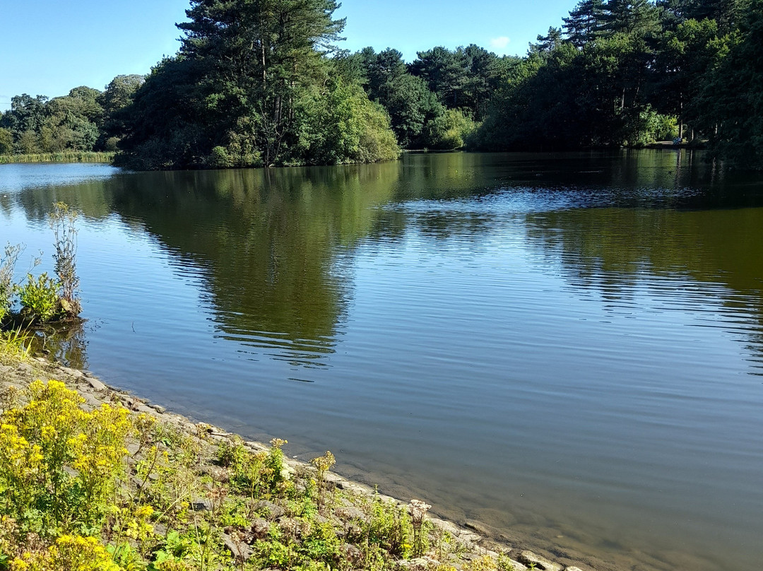 Cuerden Valley Park景点图片