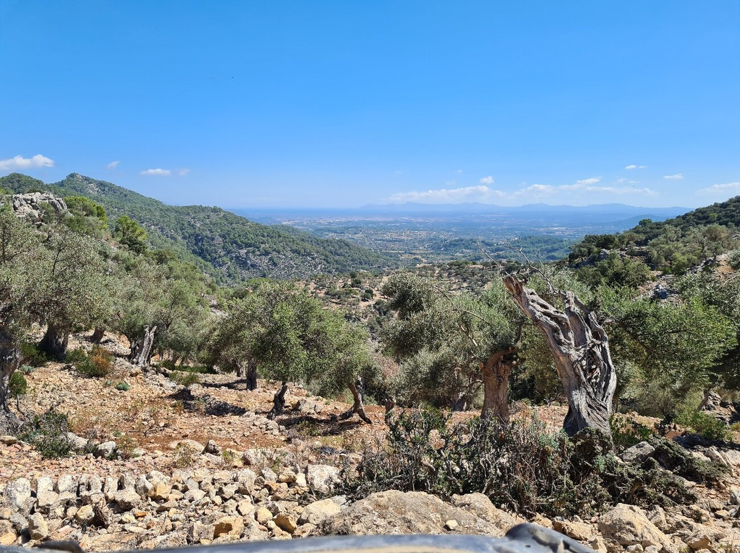 Jeep Safari Mallorca景点图片