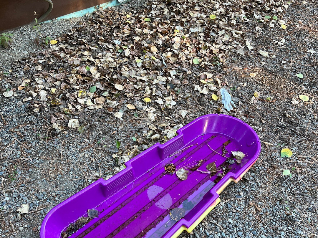 Wolf Ridge Resort主图