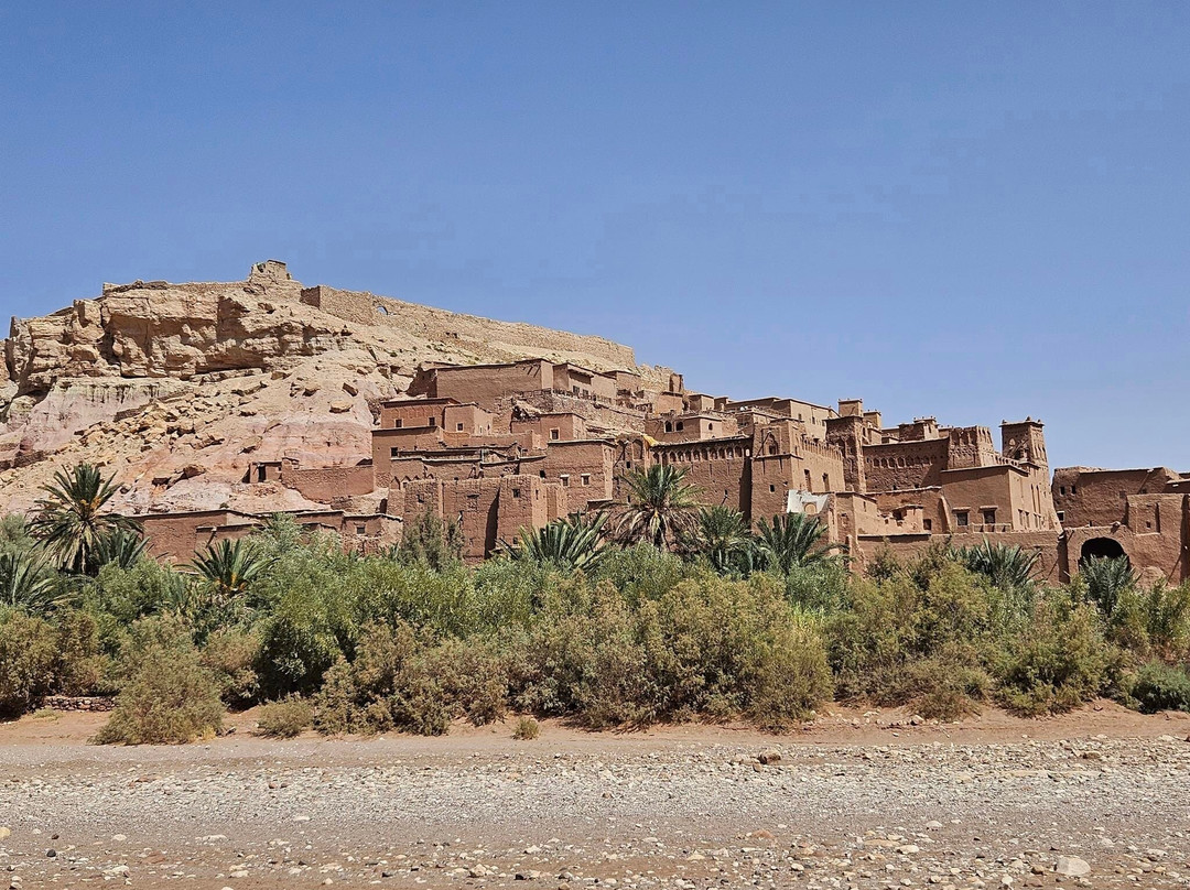 Safaries Tours-卡萨布兰卡必去景点