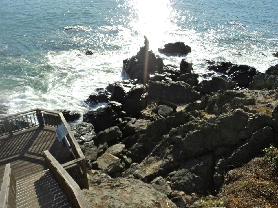 Dongbaekseom-釜山必去景点