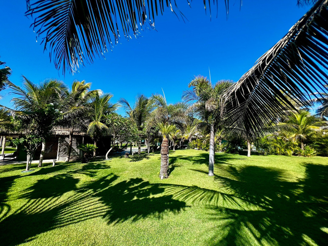 Hotel & Restaurante Vilaveratheresa主图