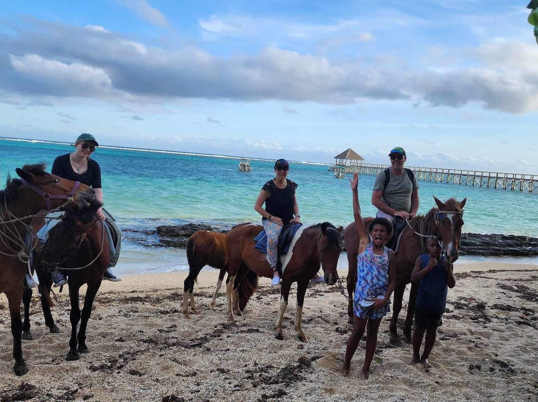 Maui Bay Horse Riding Adventure-苏瓦必去景点