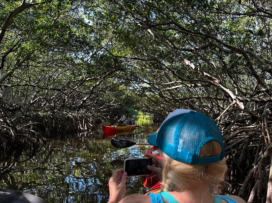 Island Kayak Tours, Llc-Tierra Verde必去景点