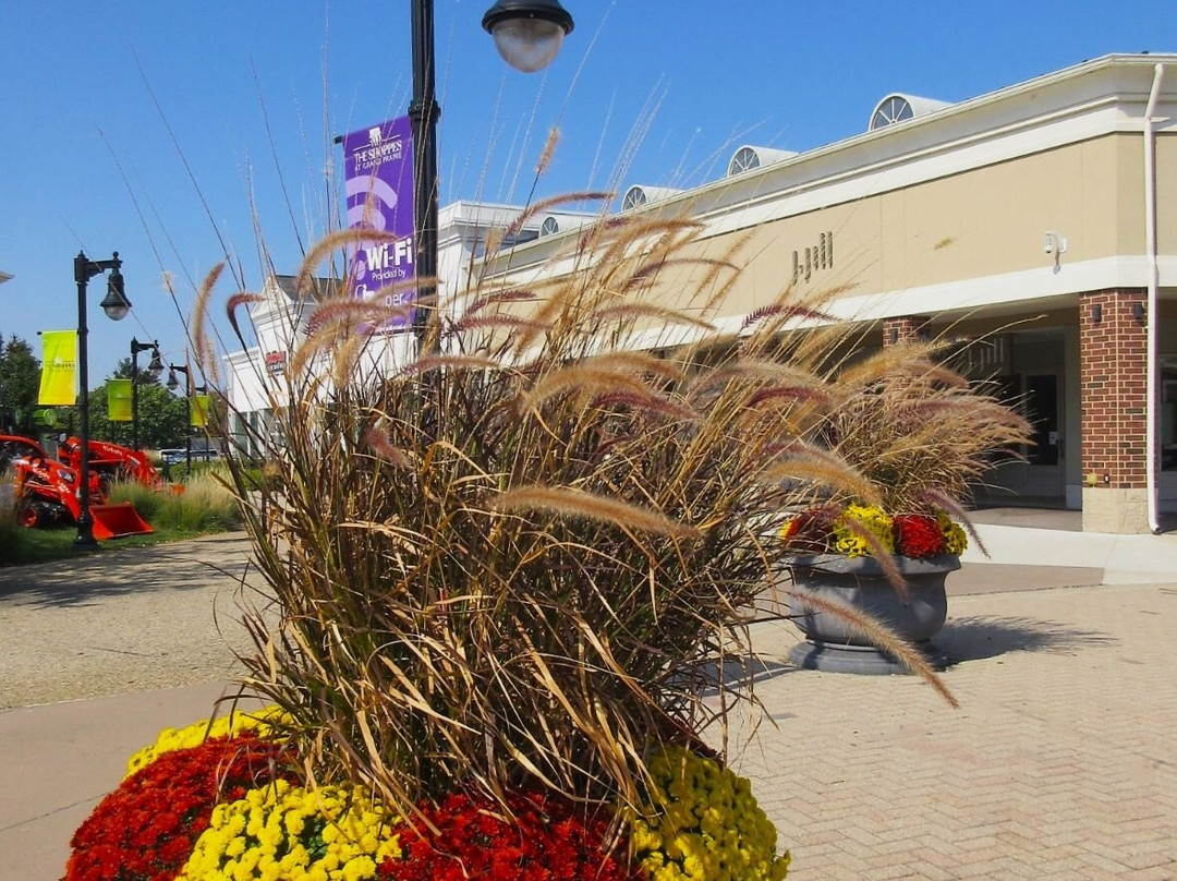 the Shopps at Grand Prairie-皮奥里亚必去景点